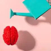 alpheahealth.com.de