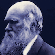 Beat Darwin