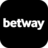 betway.co.za favicon