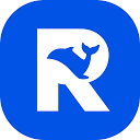 Reasonix