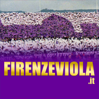 FIRENZE VIOLA